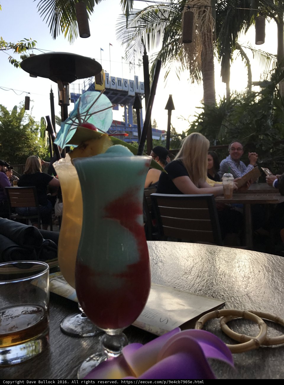 Refreshing Drinks at the Disneyland Hotel