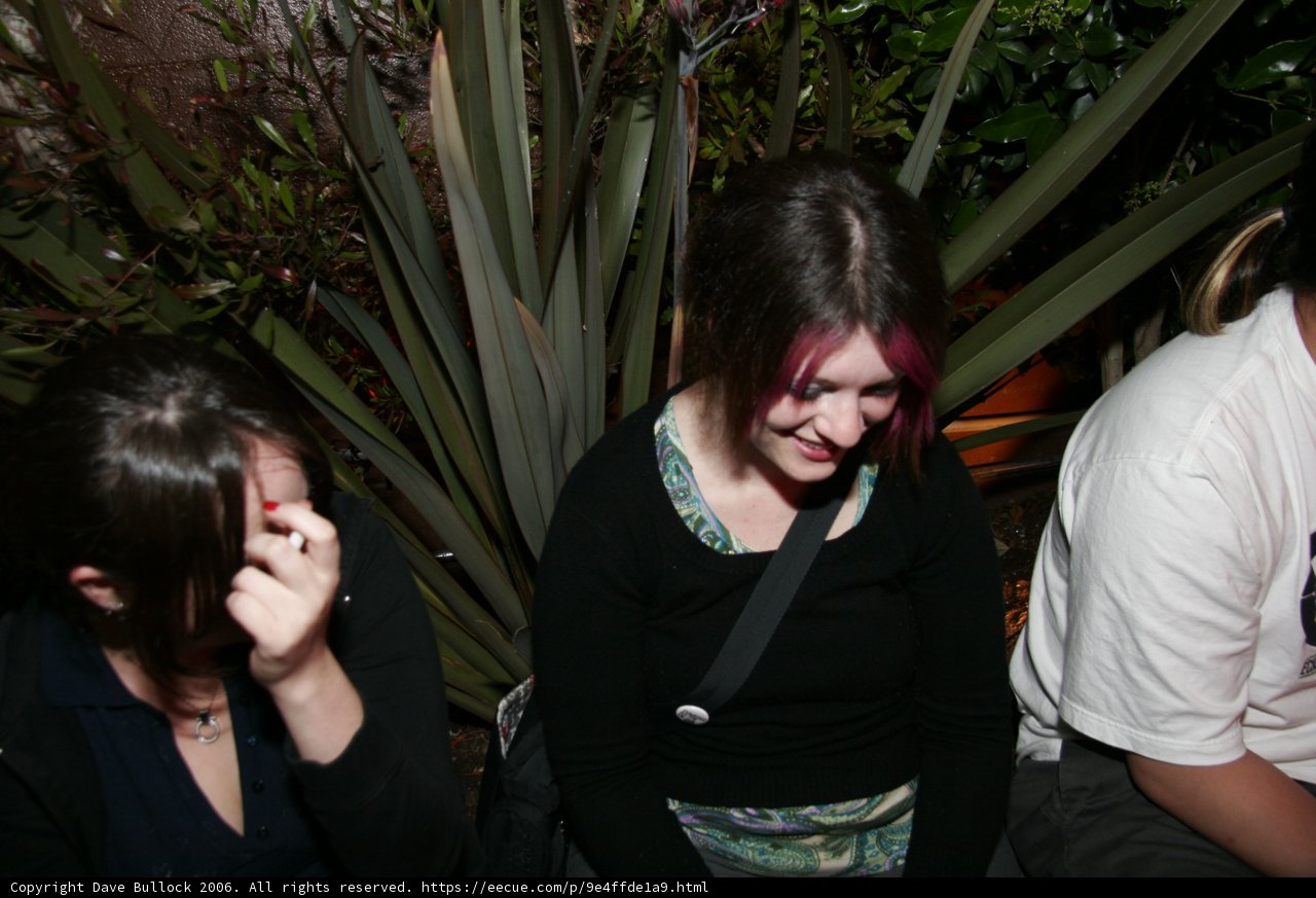 Foliage and Friendship