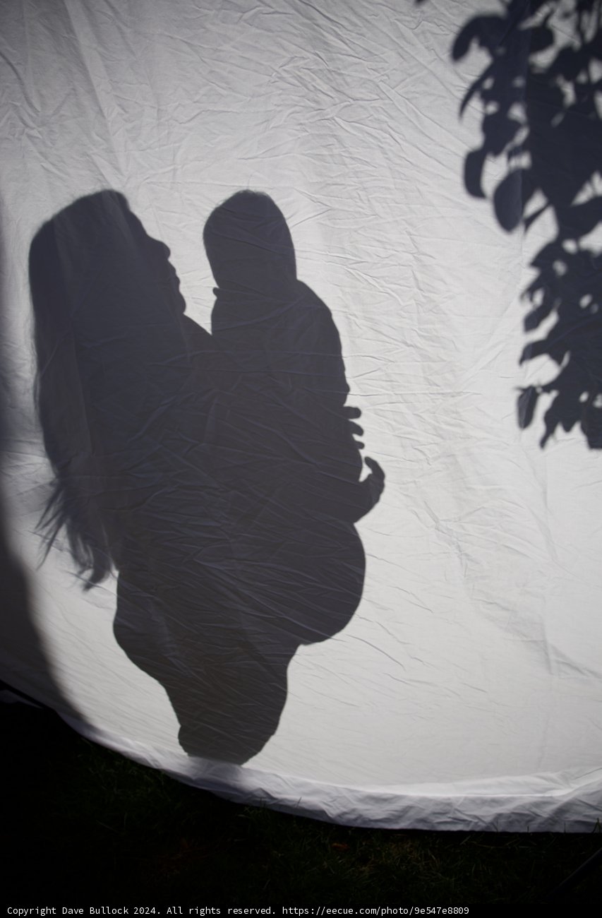 Shadows of Expectation