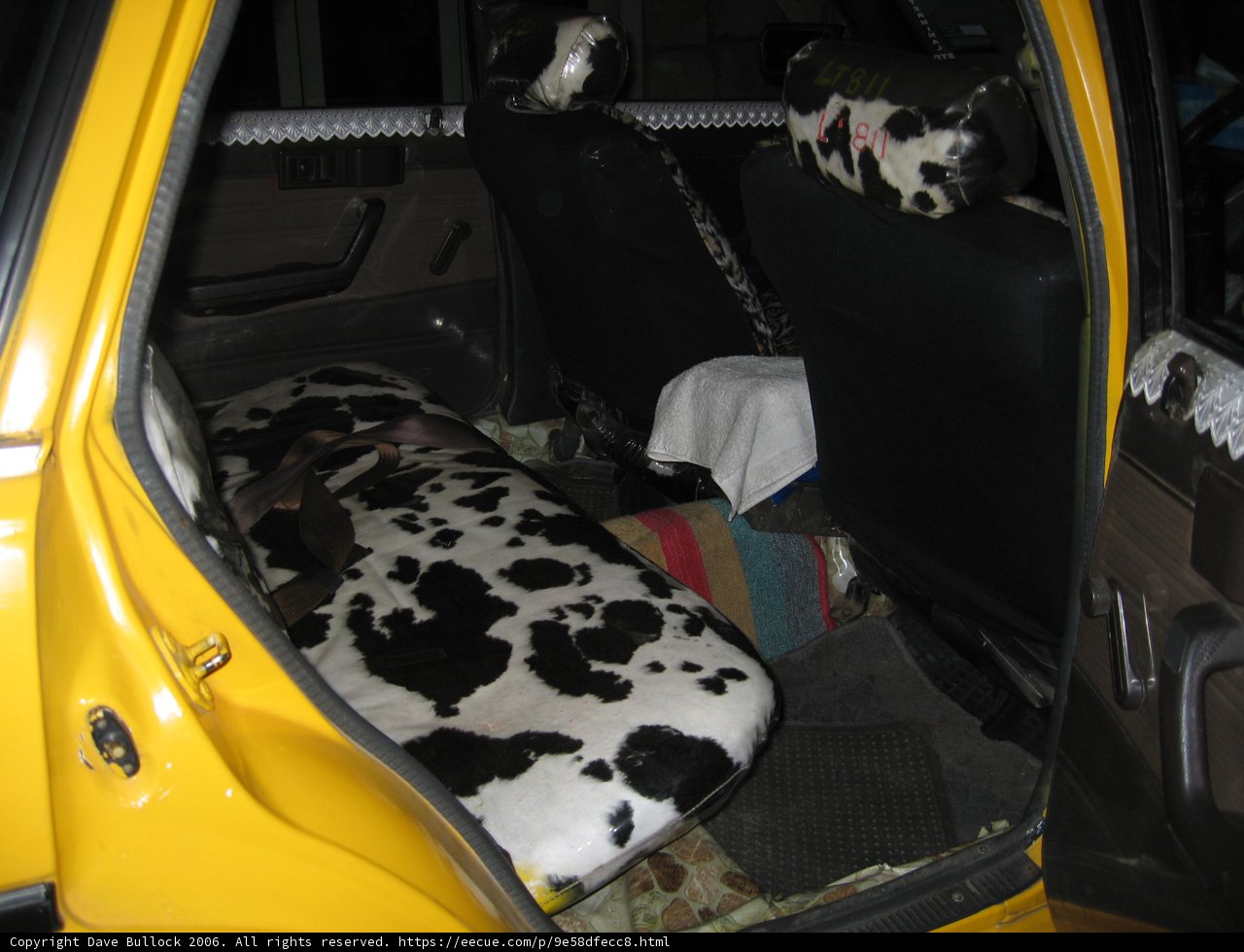 A Cow Skin Seat for a Unique Car Interior