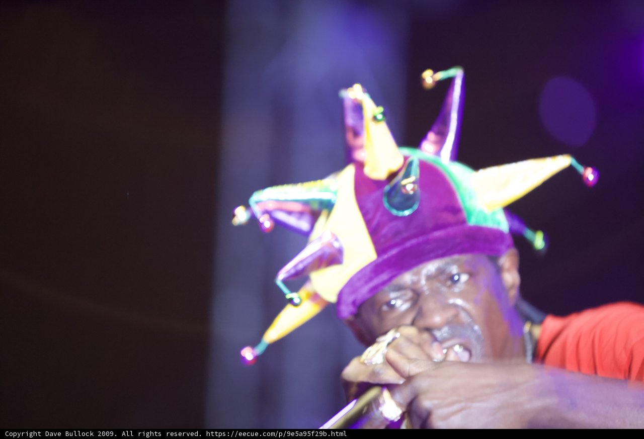 Flavor Flav Rocks the Crowd in a Purple Clown Hat