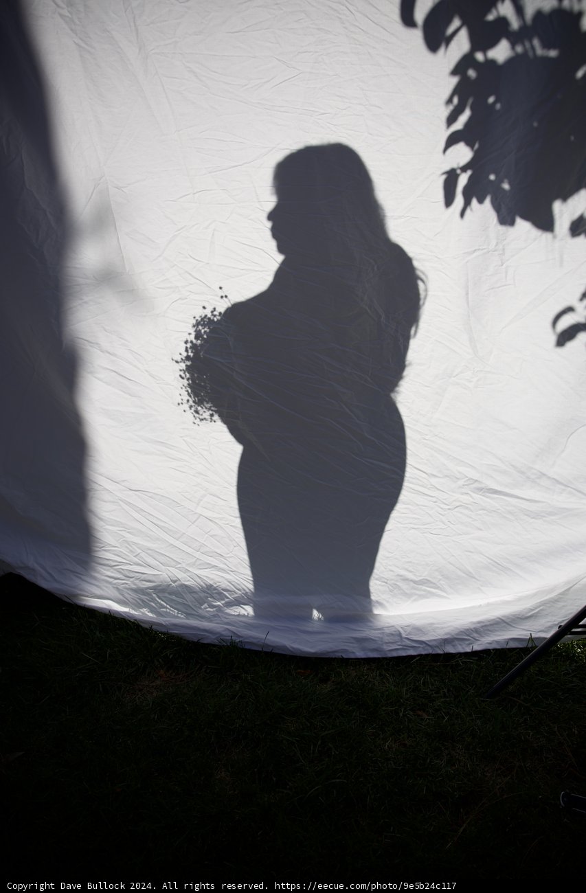 Anticipation in Silhouette