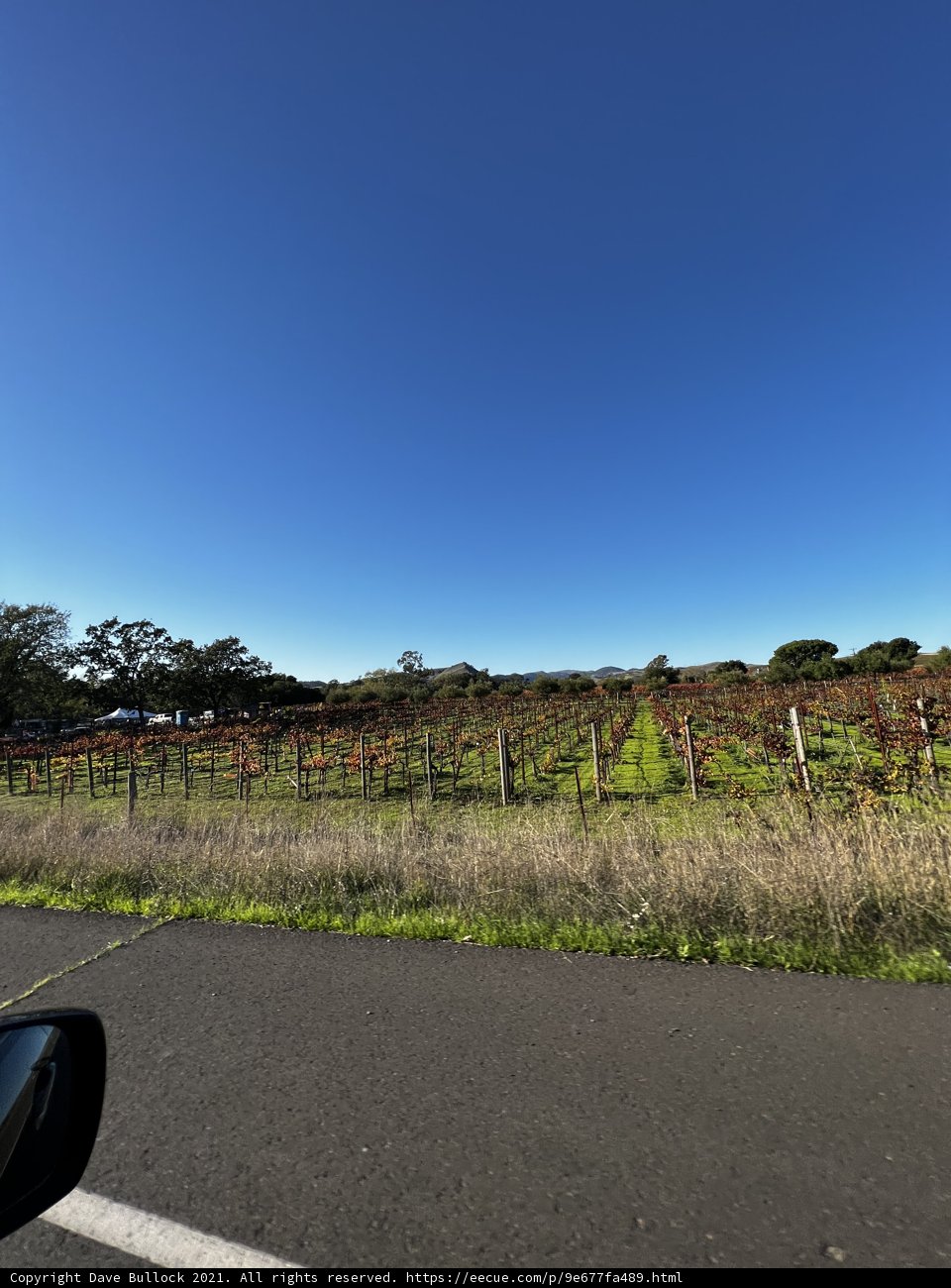 Driving Through Napa's Vineyards