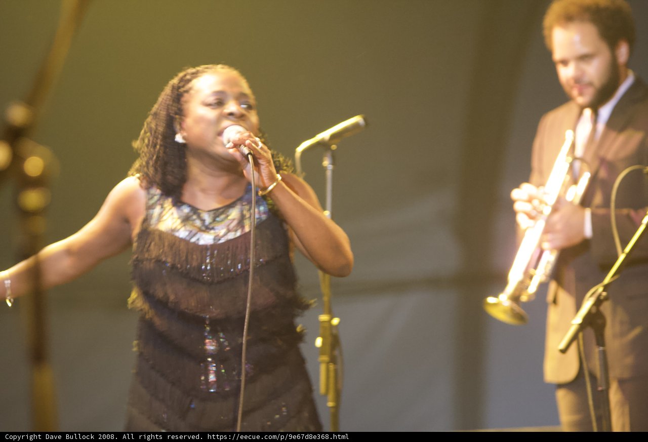Musician's Performance at 2008 Coachella Concert