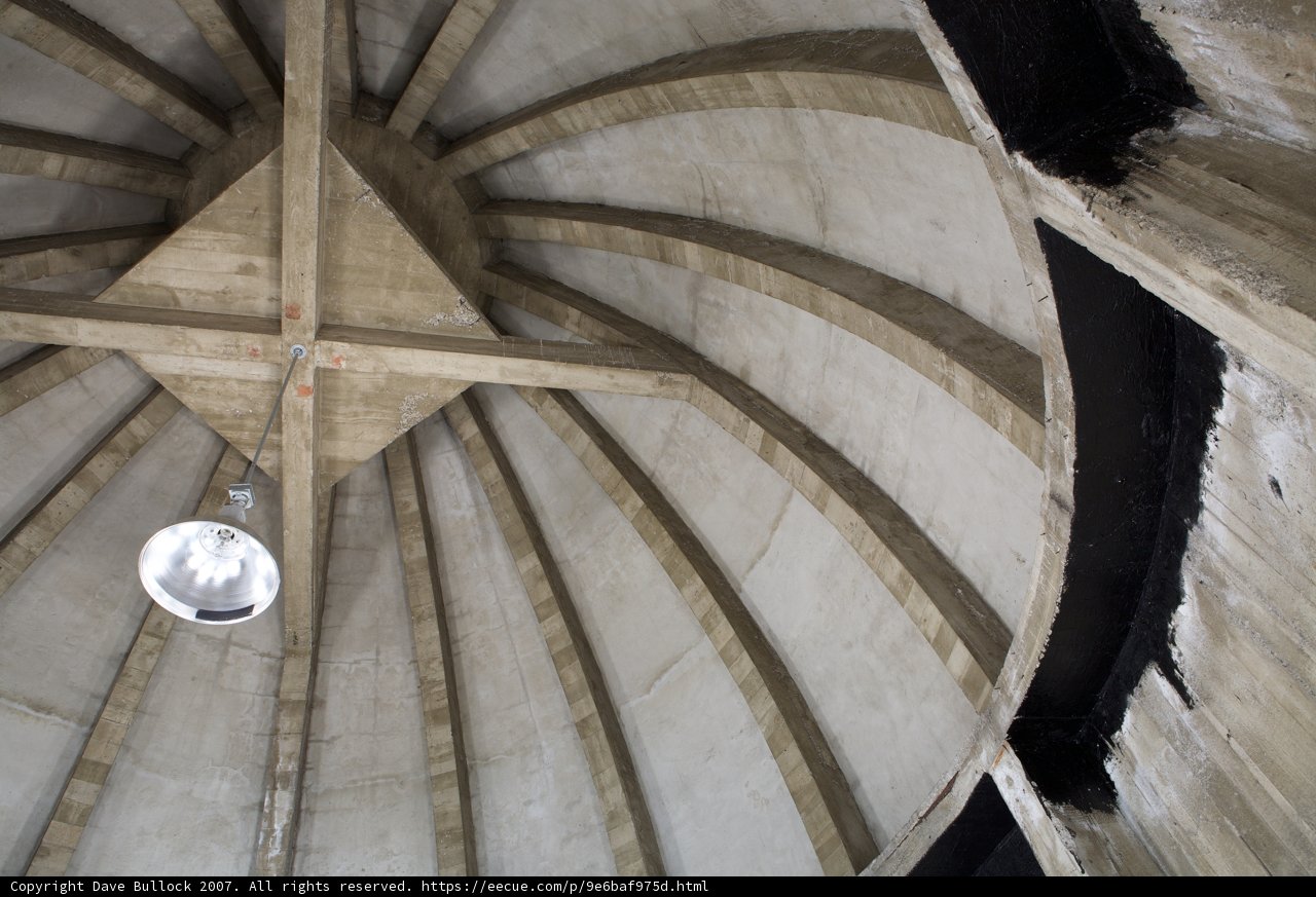 The Majestic Vault Ceiling