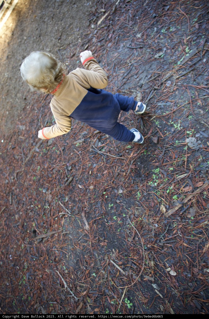 Little Explorer in Thistlewyck