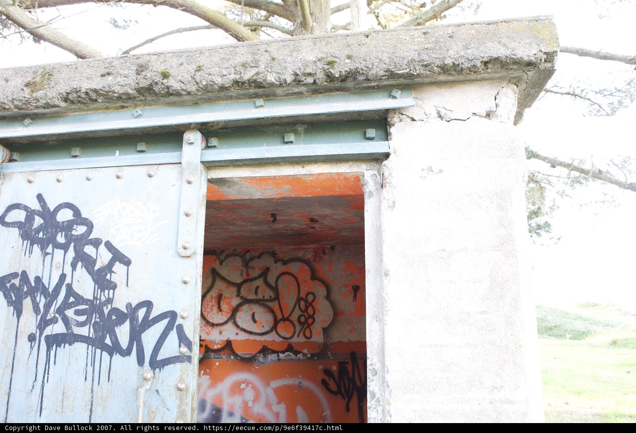 Graffiti Oasis