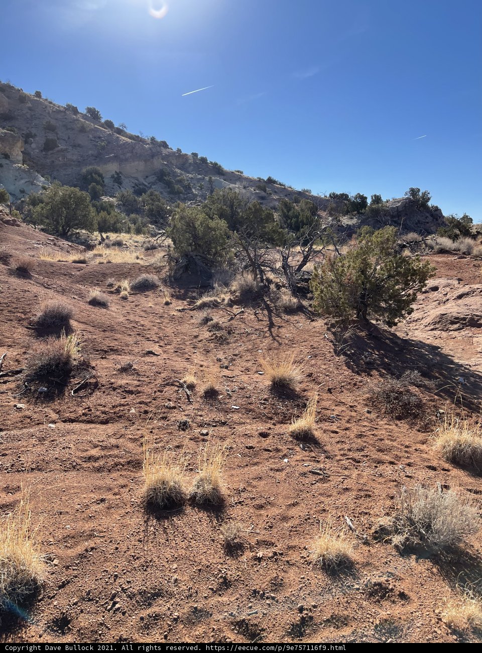 The Majestic Desert Landscape
