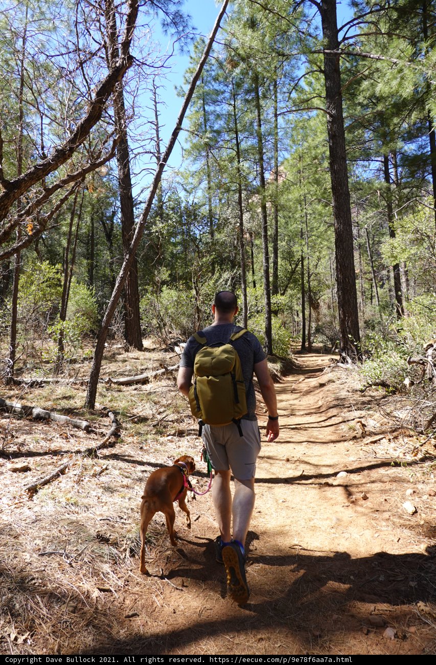 Hiking with My Best Friend