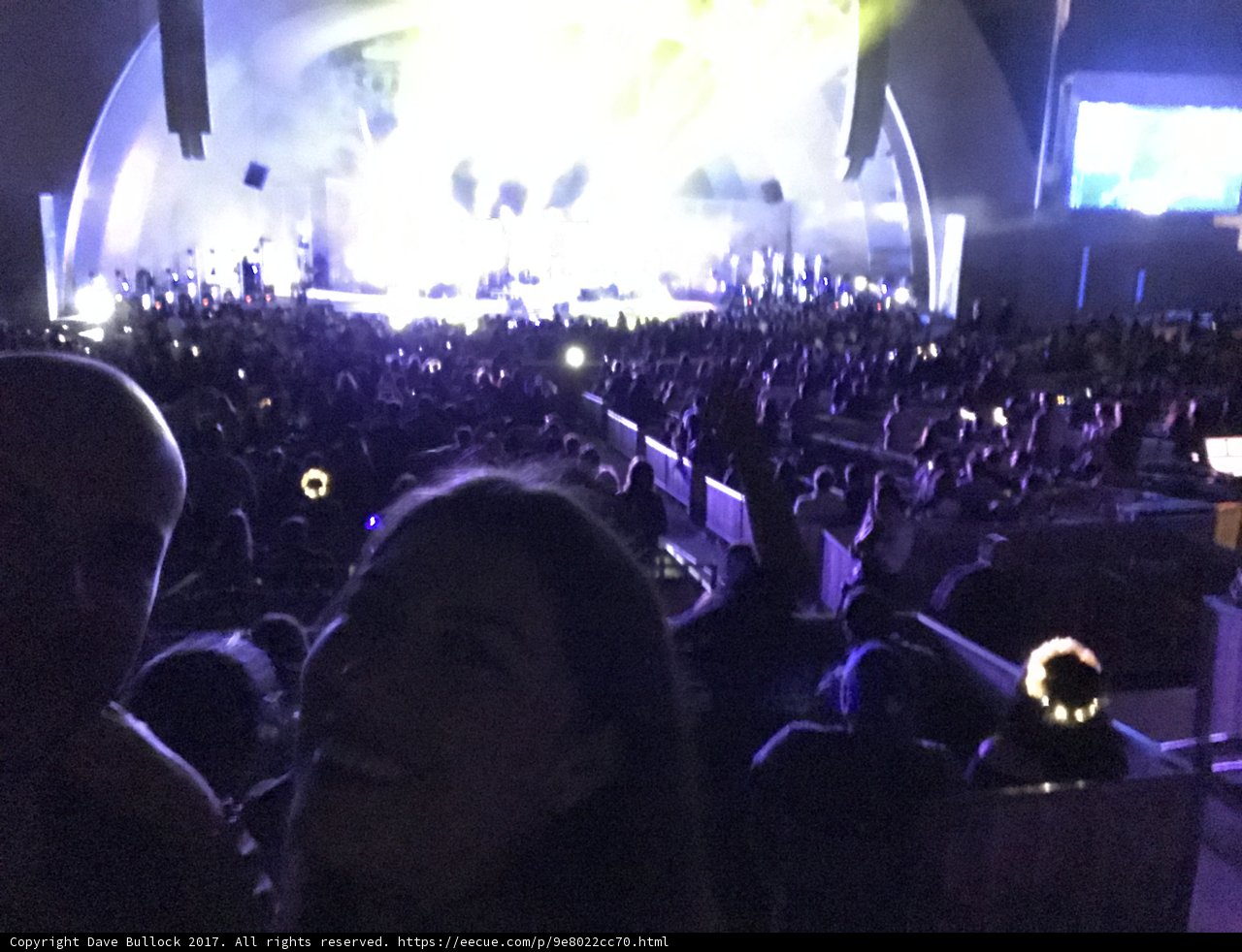 Rocking out with the Crowd