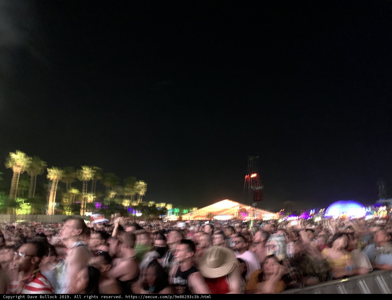 Euphoric Energy at 2019 Music Festival