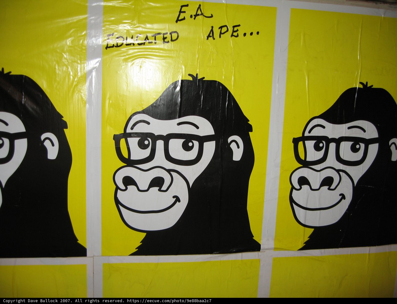 The Educated Gorilla