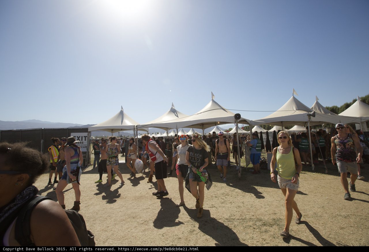 Festival Fun in the Sun