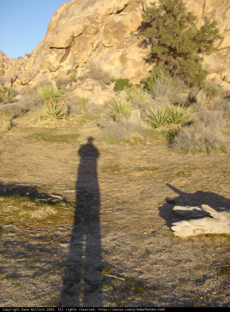 Shadow Over Land