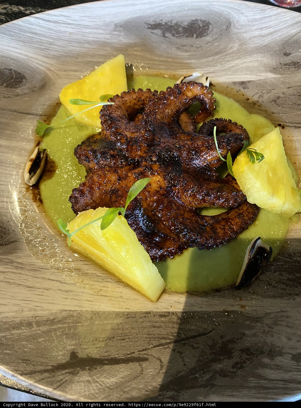 Octopus and Pineapple Fusion