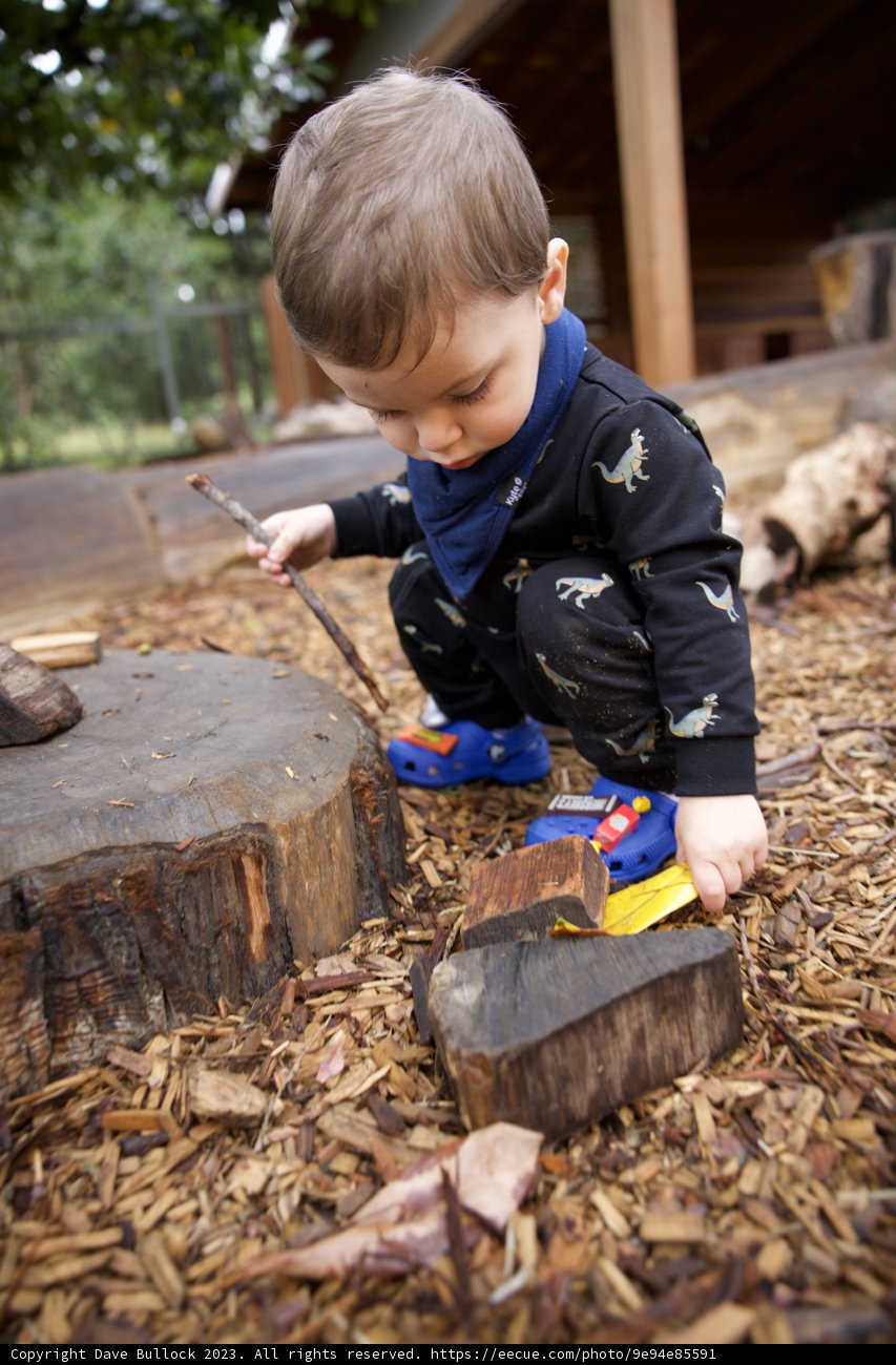Innocent Discoveries: A Day Out in Golden Gate Park
