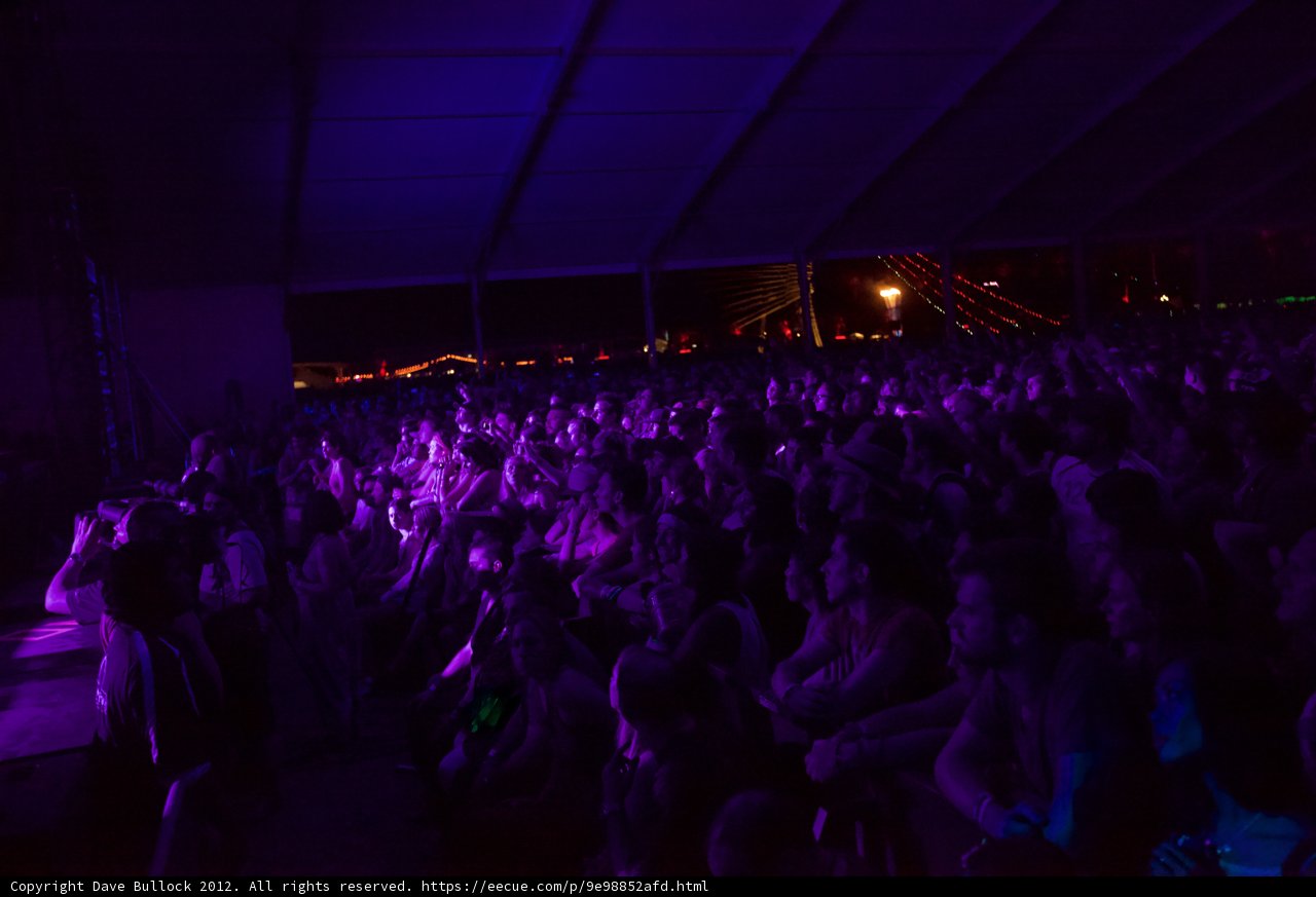 Purple Haze Concert Experience