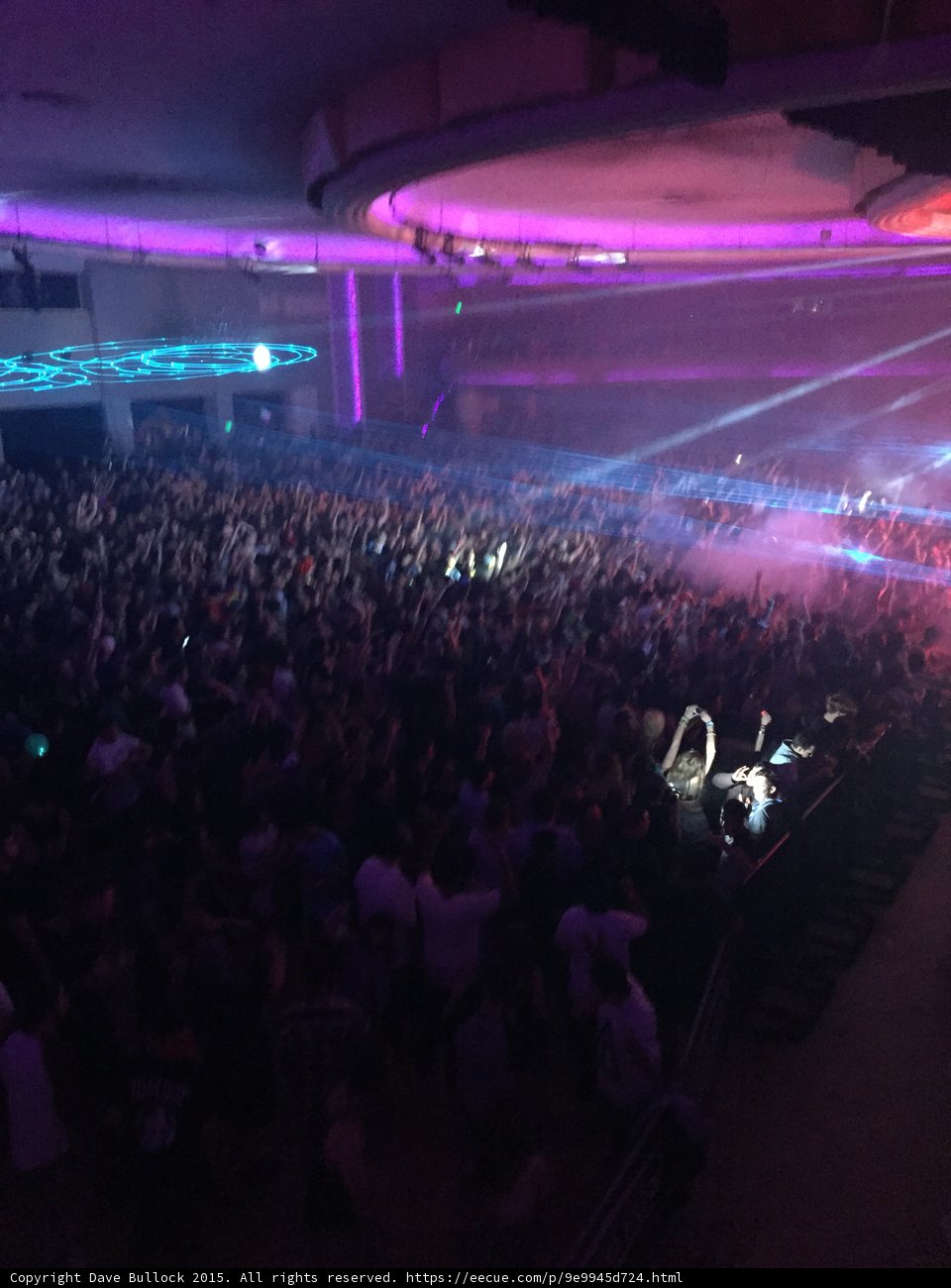 Electric Night Palladium