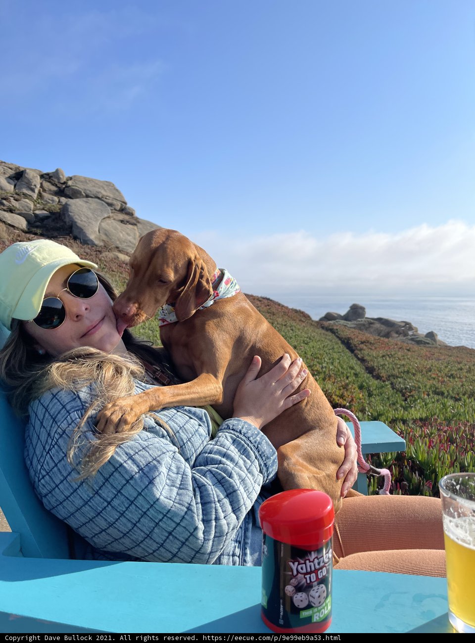 Summer Day with My Furry Friend