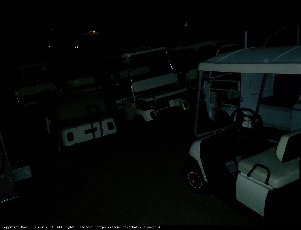 Golf Cart Brigade