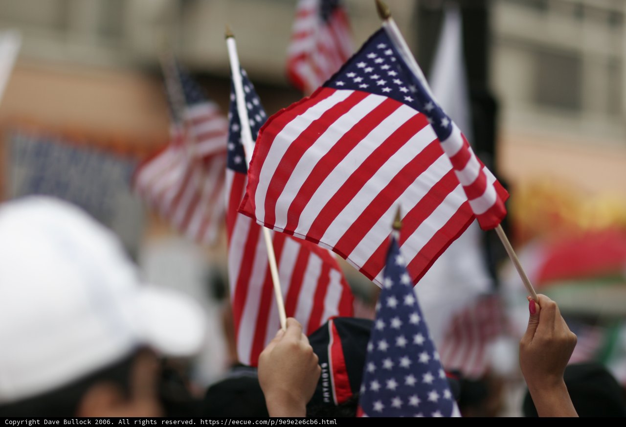 Patriotic Crowd
