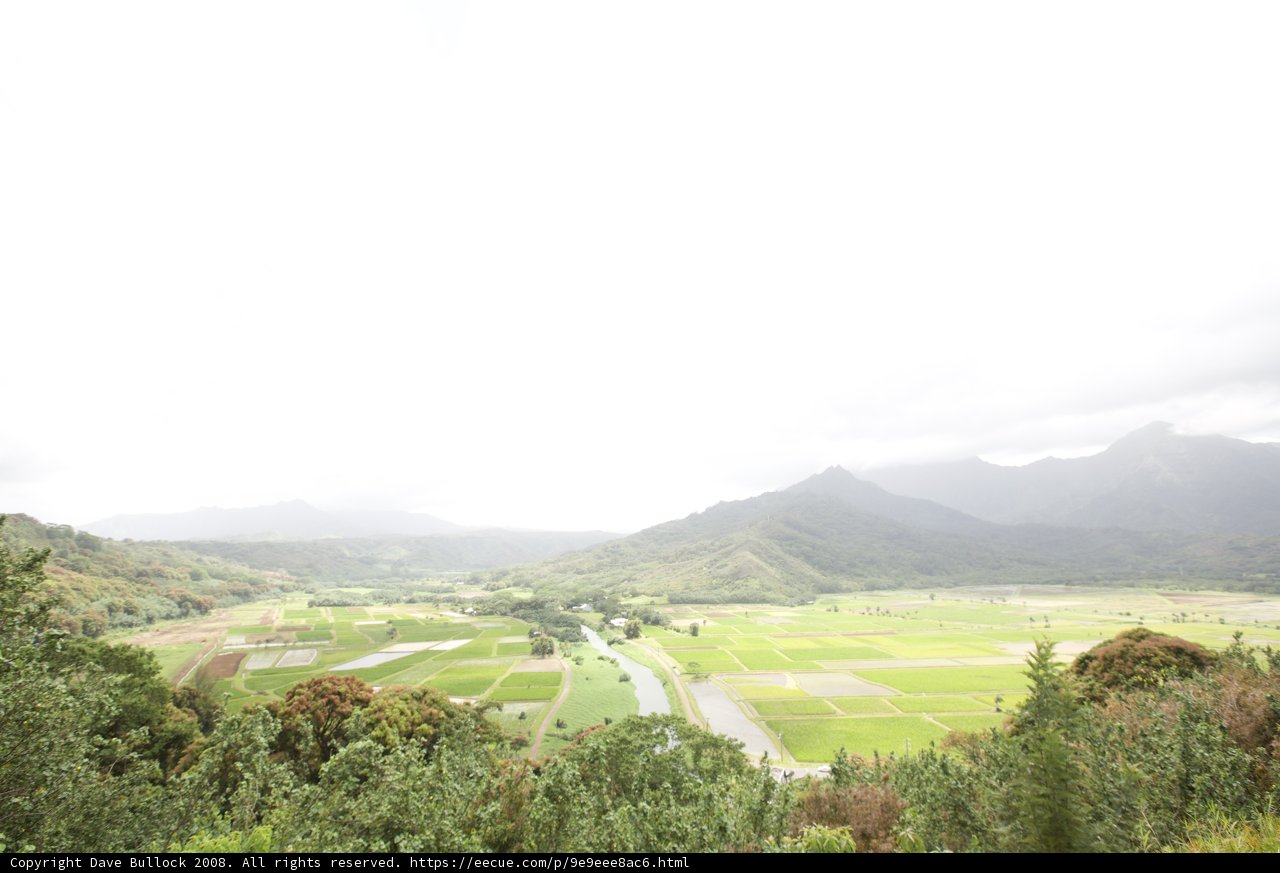 Majestic View of a Valley Laden with Rice Fields and Mountains