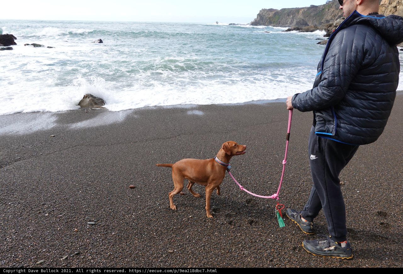 Beach Companion