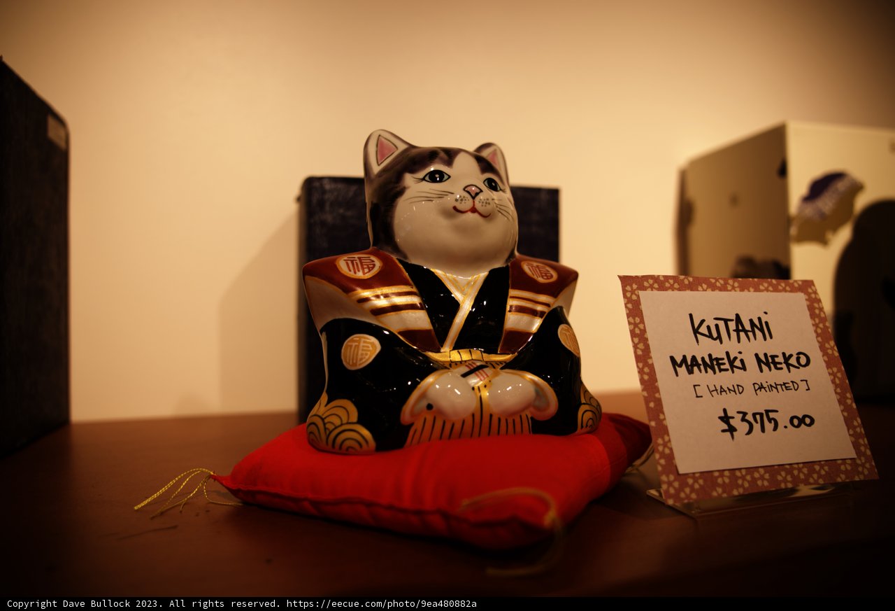 Curious Cat Collectible in San Francisco