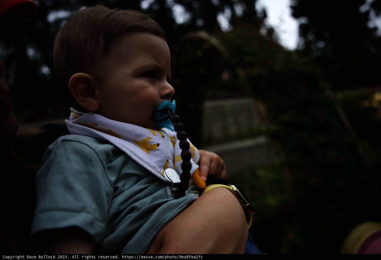 Magical Moments at Disneyland