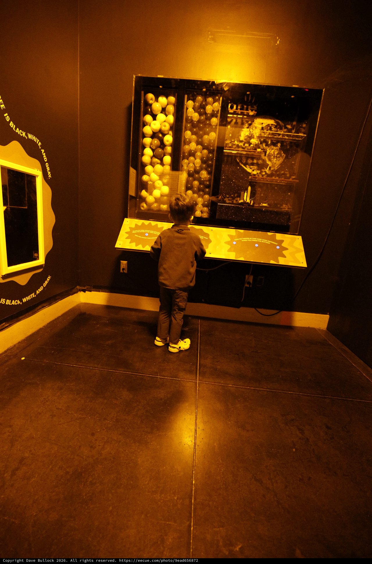 Child Exploring Interactive Science Exhibit in Museum