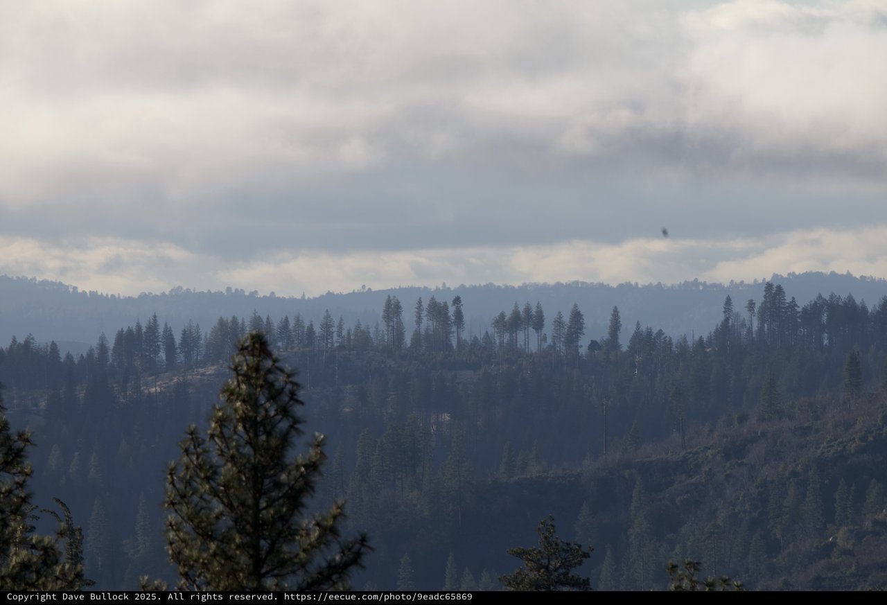 Misty Forest Ridges Under Overcast Sierra Nevada Skies