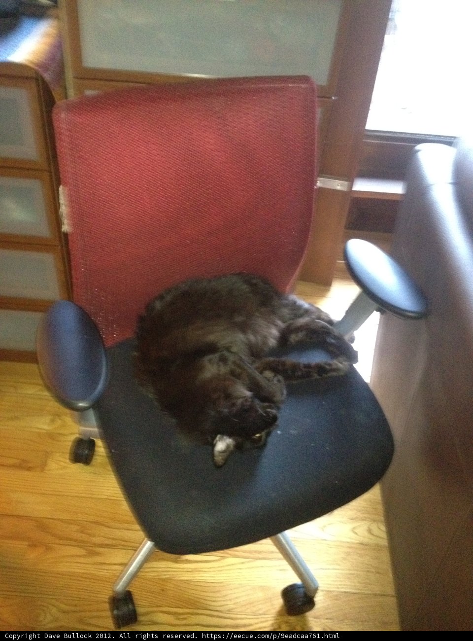 Lazy Afternoon