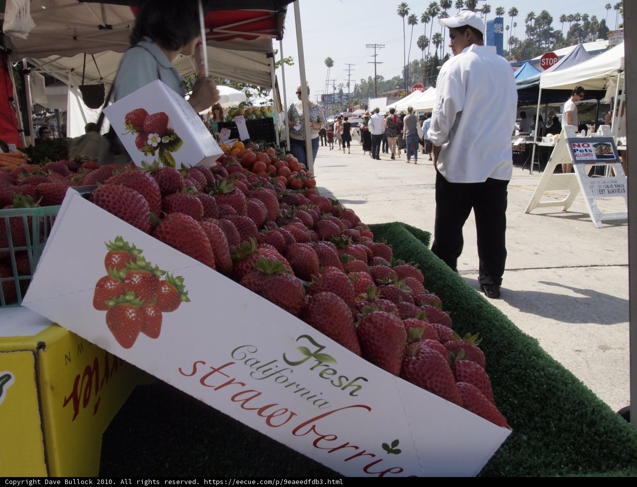Strawberry Harvest