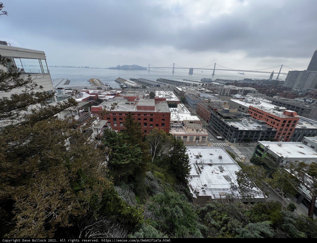 Urban Metropolis Rising Above Nature