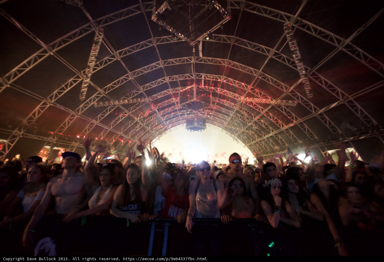 Coachella Crowd Goes Wild