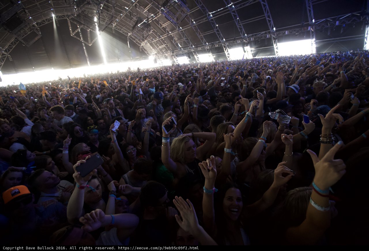 Coachella Crowd Goes Wild
