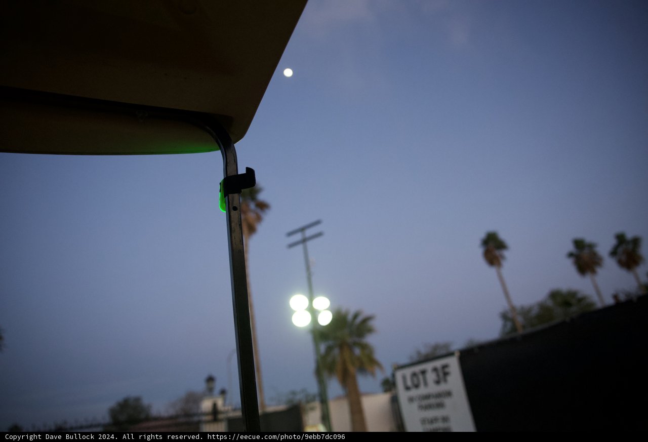 Moonlit Palms and Urban Lights