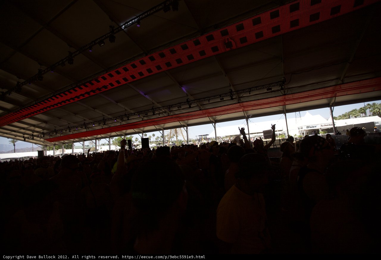 High-Energy Crowd at Coachella