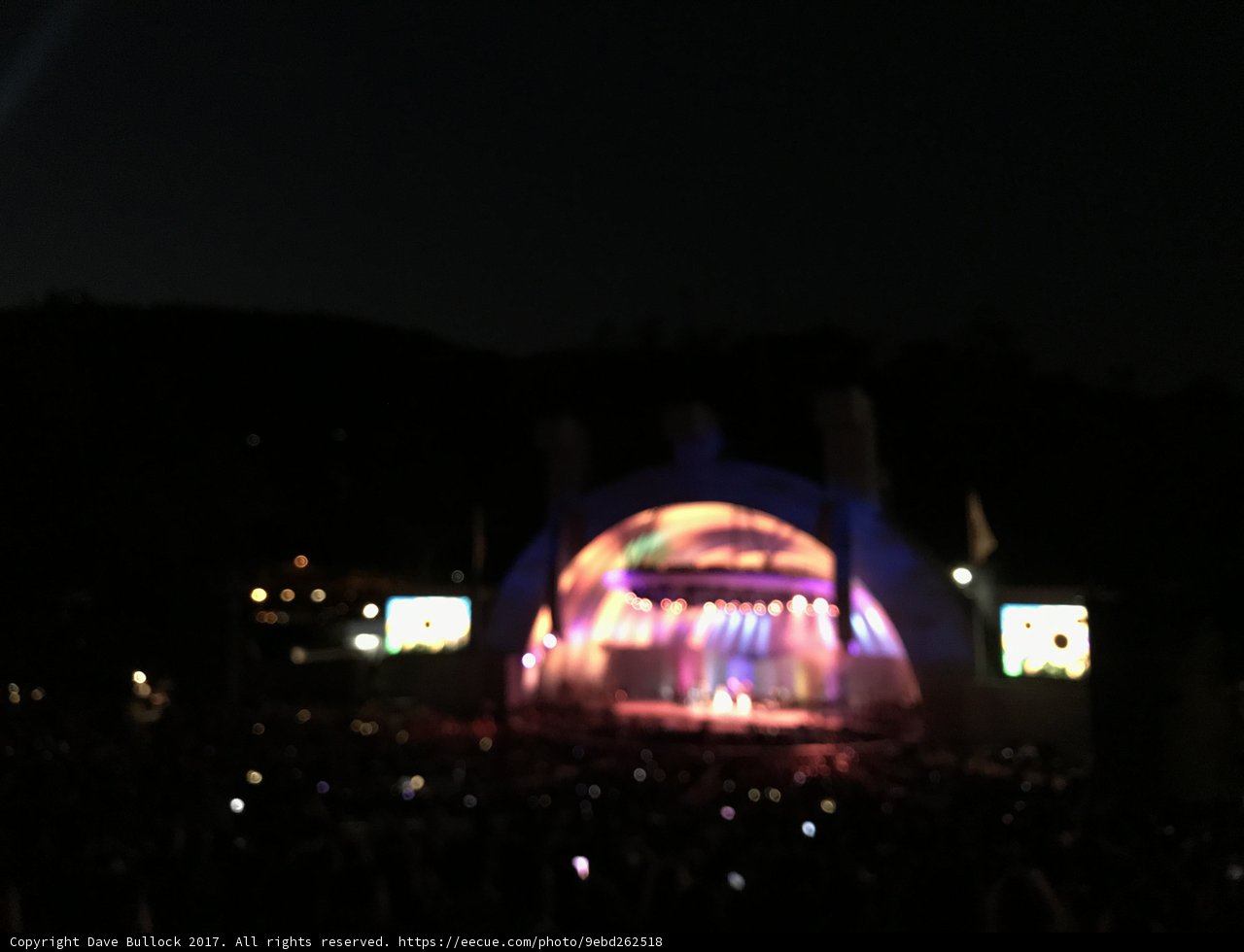 A Night of Spectacular Lights and Music