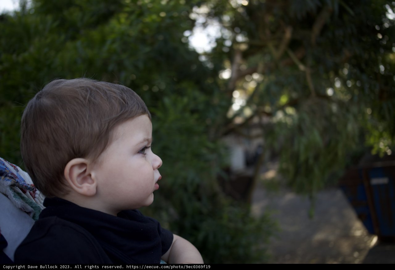 Thoughtful Moments at SF Zoo