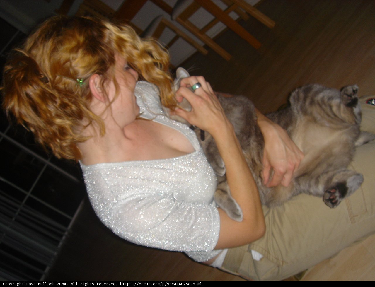 Woman in Evening Dress Petting Cat on Couch