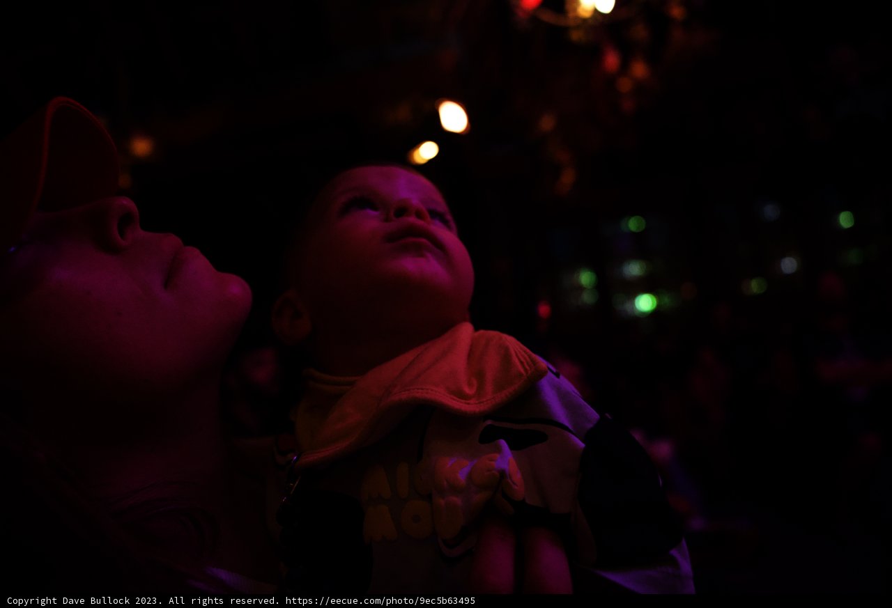 Magical Moments at Disneyland