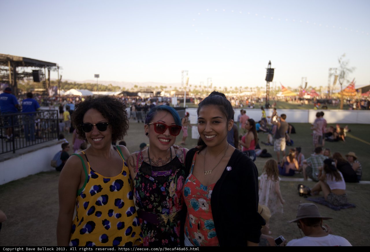 Three Friends Enjoying an Outdoor Concert