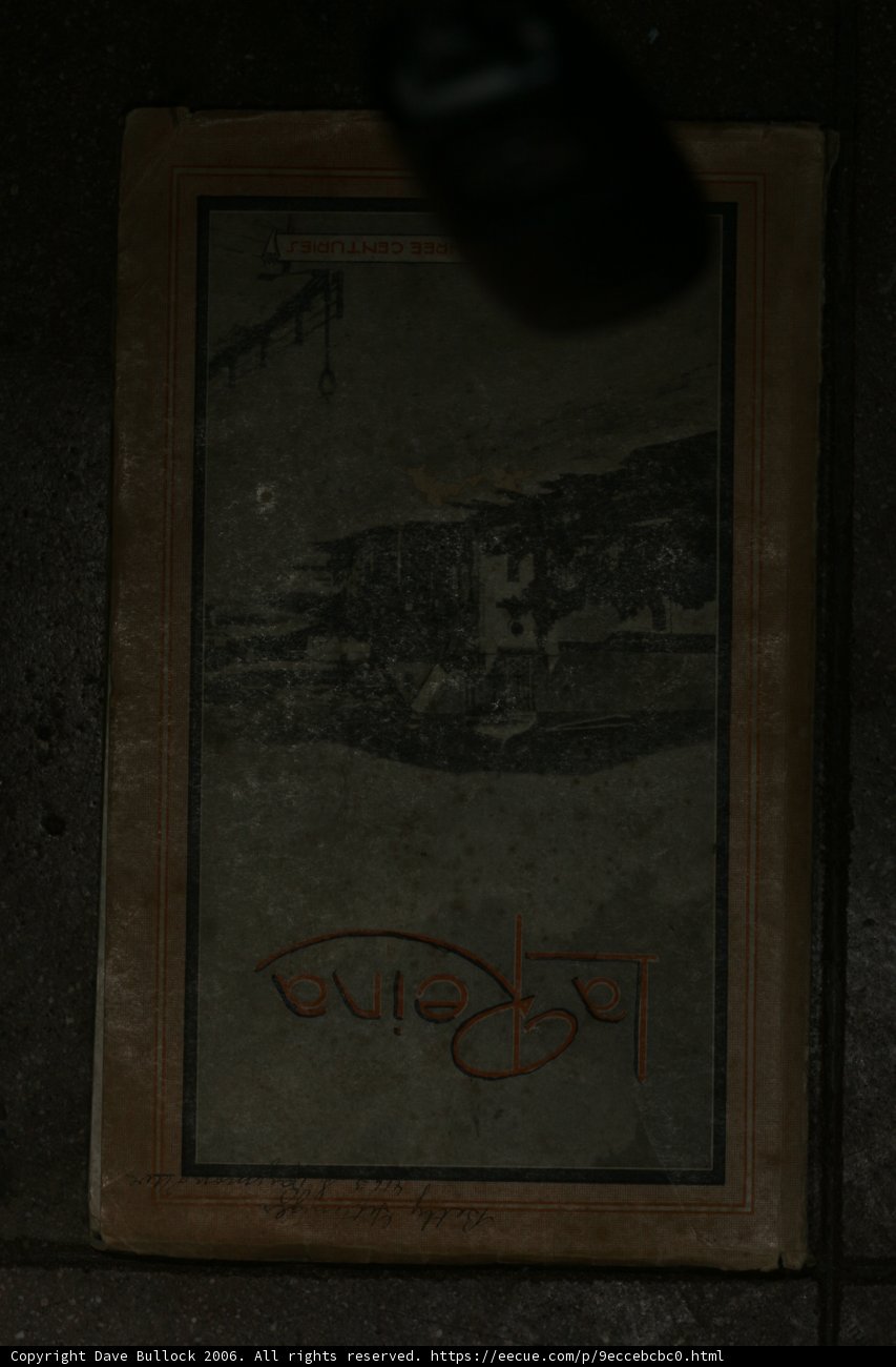 The Lonely Book in the Dark Room