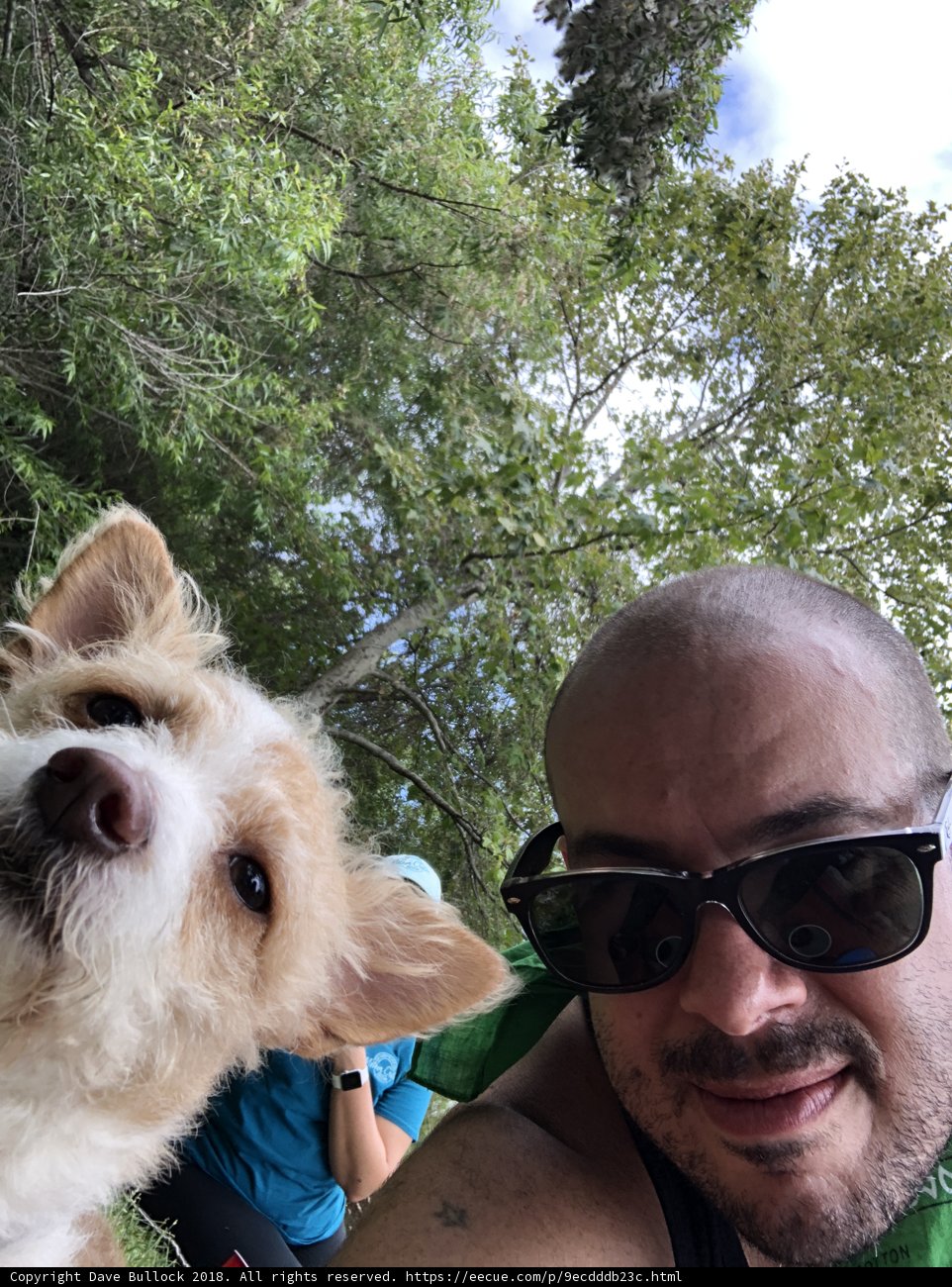 Man and his furry companion in the great outdoors