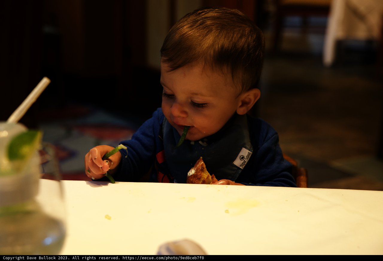 Delightful Dining at Disneyland
