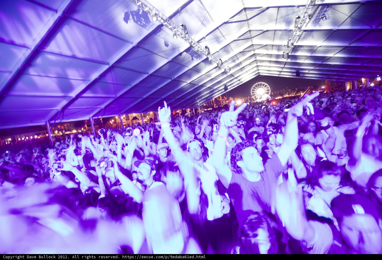 Ecstatic Crowd at Coachella Nightclub