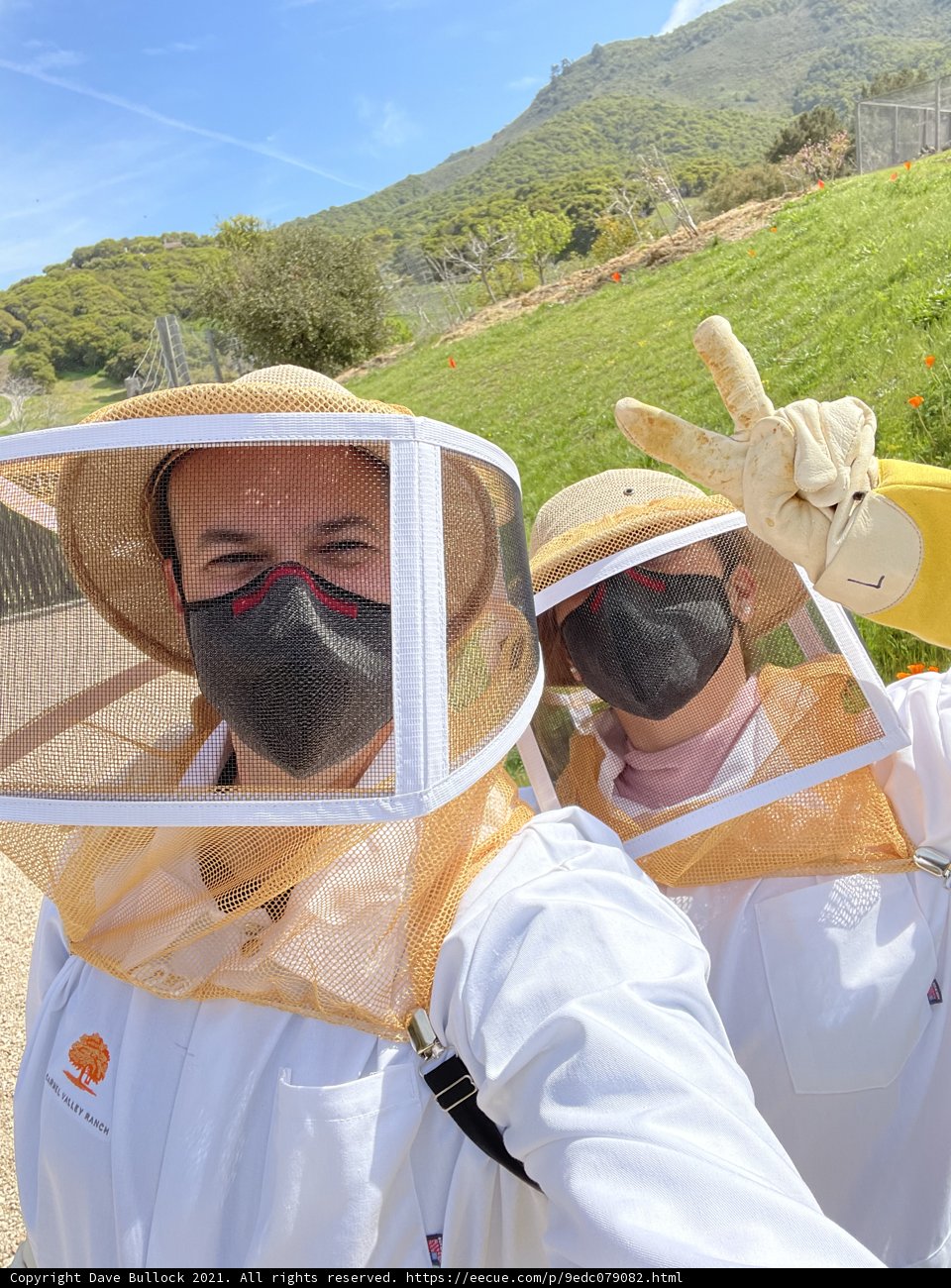 Beekeepers in California