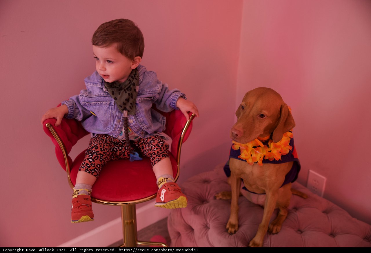 A Heartwarming Bond: Wesley and His Furry Friend
