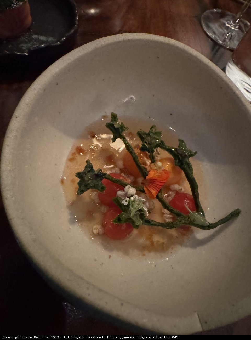 Savory Feast in San Francisco